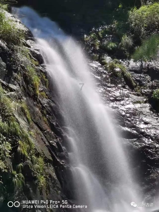 不加鸡蛋麻花做法游戏画面